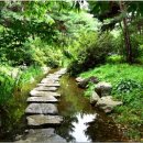 지혜의 샘 이미지