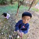 밤골여울마당 이미지