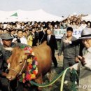 정주영농장 이미지