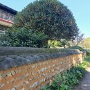 도기박물관 체험관 이미지