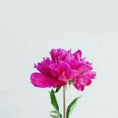 다례원 - 고양시 덕양구 | 다례원