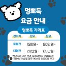 목욕 | 천안 아산 대형견 출장 목욕 후기! 강아지 출장 목욕 멍뽀득 충청도강아지목욕 추천!