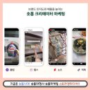 지금은 숏폼시대! 스토리앤미디어 네이버클립체험단 숏폼대행사