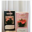 815세차장 이미지