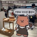 롯대 | 부산 서면 빵고미 팝업 롯대백화점 팝업스토어 후기