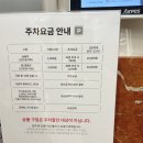 소리박물관앞 횡단보도 | 국립중앙박물관 초등 어린이 도슨트 아이고고 가족 투어 대기없이 바로입장!