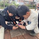 남산초병설유치원 이미지