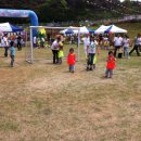 안중파랑새유치원 이미지