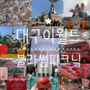 이월드" 주말 오픈런으로 가서 신나게 놀고오기! 블라썸피크닉 기간이라 <프랑제리 사과빵 in 대구...