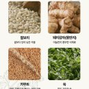 정가네 슈퍼 | 정가네 찰보리 쑥 인절미 구매 전 꼼꼼 비교 후기