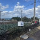 판포바다향기 이미지