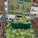 위시앤쉴드 | 2024 케이펫페어 메가주 일산 금요일 방문 후기와 가격 1탄(사진 잔뜩)