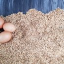 이화농장3 이미지