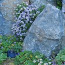 울릉KOSMOS 이미지