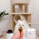 빛이나약국 이미지