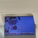 GS25 광복로점 | ⛴️ 뚜벅뚜벅 부산여행1⛴️