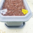 송암농장 이미지