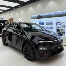 G-MOTORS | 샤오펑 g6 국내진출 시점 및 한국법인 대표는 누구?