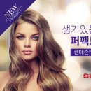 썬라이더 이미지