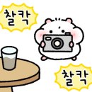 기능자동차정비공업사 이미지