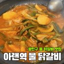 아랫목식당 | [아차산] 닭볶음탕도 닭한마리도 아닌, 중독성 미친 '아랜역 물 닭갈비' 내돈내산 후기
