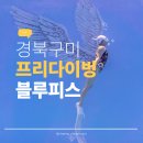 안정1길 | 구미 프리다이빙 입문, 블루피스에서 1레벨 도전해 본 진짜 후기