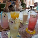 그림책 꽃이 피었습니다 이미지