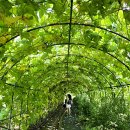 내동마을 내 공터 이미지