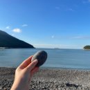 월심이네 이미지