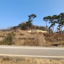 청백부동산공인중개사사무소 이미지