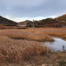 안포마을 이미지