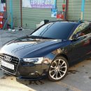 문라이트블루 이미지