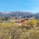 구례공영버스터미널 관광안내소 이미지