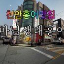마님생태홍어 이미지
