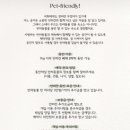 스테이우브
