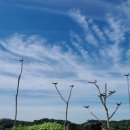 연천 호로고루 이미지