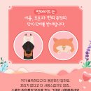 제인동물병원 이미지