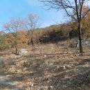 김규철농장 이미지