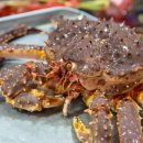 대신수산식당 이미지