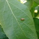 배준농장 이미지