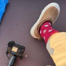 춤추는 신데렐라 | 크리스마스 시즌에 도쿄 디즈니랜드 다녀온 후기 - 오픈런 안하고 DPA &amp; 스탠바이패스 없이 즐기기...