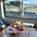 노벨라 별둘 | 피렌체에서 나폴리 트랜이탈리아 비즈니스석 기내식 후기