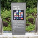 6.25한국전쟁 참 이미지
