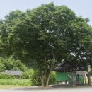 (부귀면)충혼탑 이미지