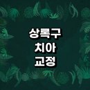 안산 상록구 치아교정 잘하는 전문치과 병원 추천 | 비용 후기 설측교정 돌출입 앞니 투명 무턱 부분...