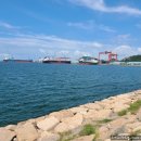 남도밧데리 이미지