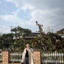 노랑통닭 밀양점 | 밀양 아리랑 잠수풀장 12M 프리다이빙 빛내림 펀다이빙후기