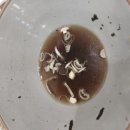 마이카츠 범어역점 이미지