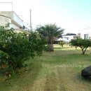 스윗보목 이미지