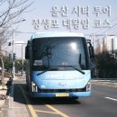 장생포 대왕암 코스 | 울산 시티 투어 버스 장생포 대왕암 순환형 코스 탑승 후기